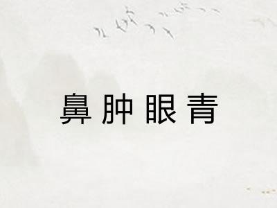 鼻肿眼青 鼻肿眼青