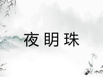 夜眀珠 夜眀珠