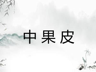 中果皮 中果皮