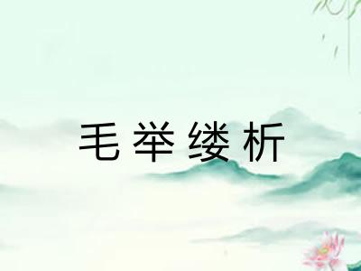 毛举缕析 毛举缕析