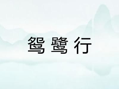 鸳鹭行 鸳鹭行