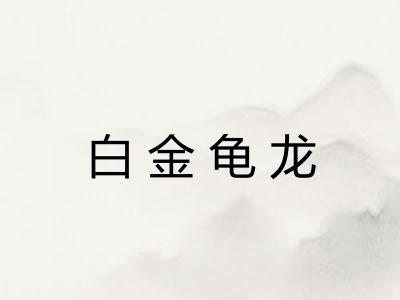 白金龟龙 白金龟龙