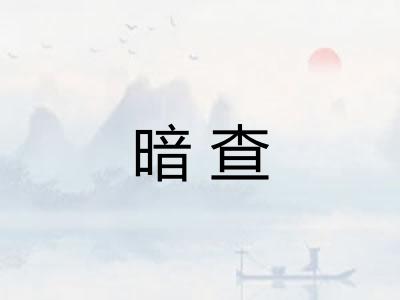 暗查 暗查