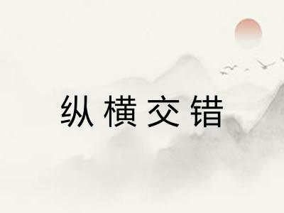 纵横交错 纵横交错