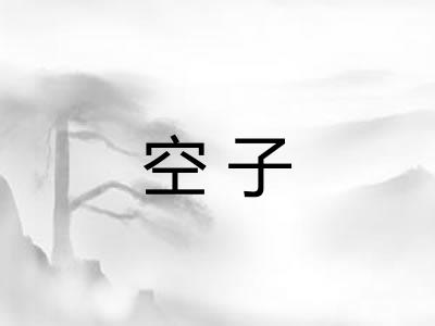 空子 空子