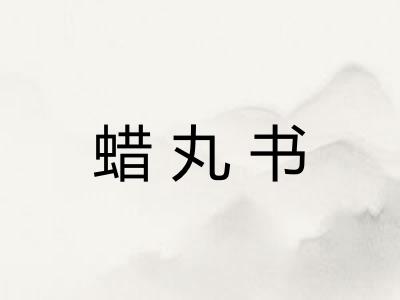 蜡丸书