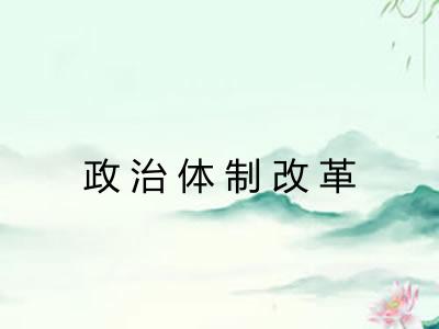 政治体制改革 政治体制改革