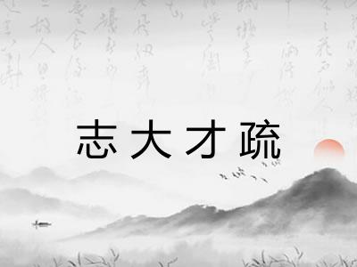 志大才疏 志大才疏