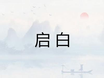 启白