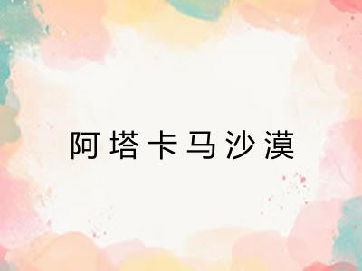 阿塔卡马沙漠 阿塔卡马沙漠