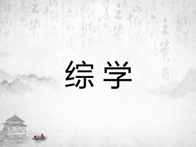 综学 综学