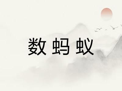 数蚂蚁 数蚂蚁