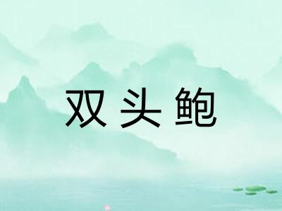 双头鲍