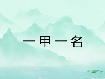 一甲一名 一甲一名