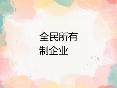 全民所有制企业