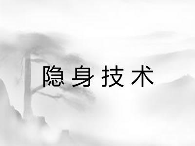 隐身技术 隐身技术
