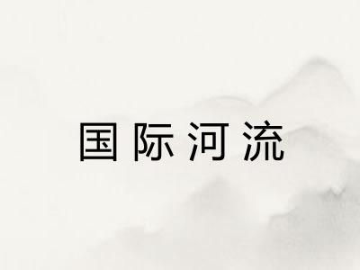 国际河流 国际河流