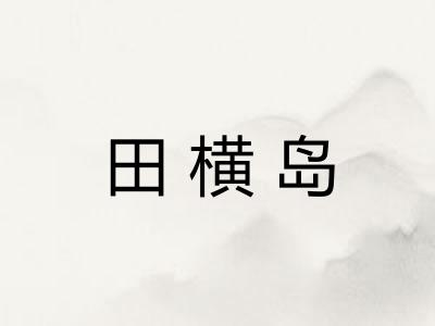 田横岛 田横岛
