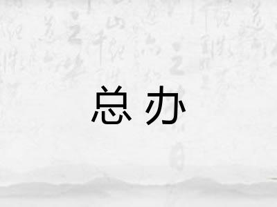 总办 总办