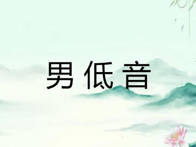 男低音 男低音