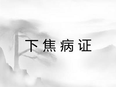 下焦病证 下焦病证