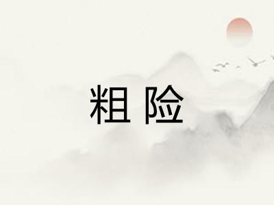 粗险 粗险