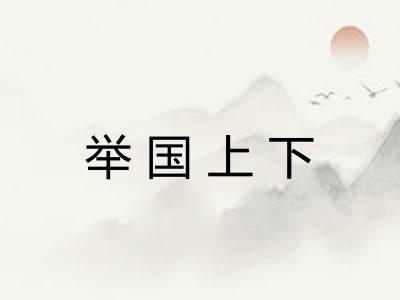 举国上下 举国上下