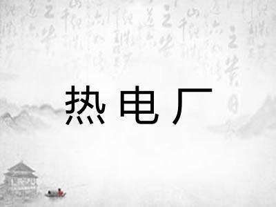 热电厂 热电厂