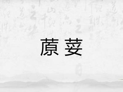 蒝荽