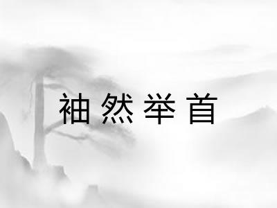 袖然举首 袖然举首