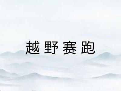 越野赛跑 越野赛跑