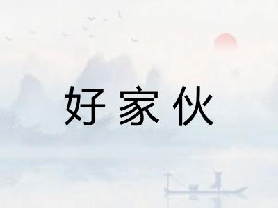 好家伙