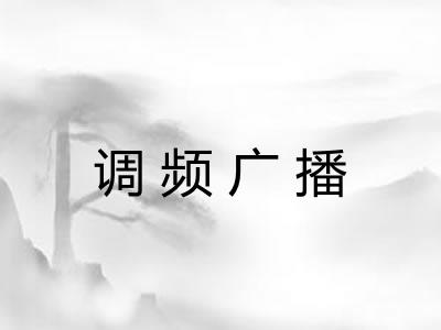 调频广播 调频广播