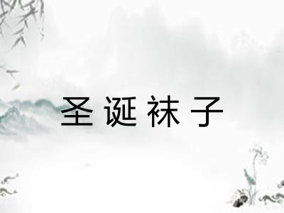 圣诞袜子 圣诞袜子