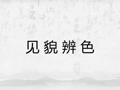见貌辨色 见貌辨色