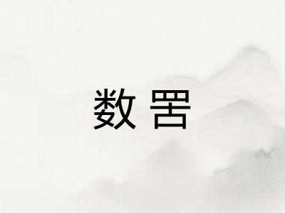 数罟 数罟