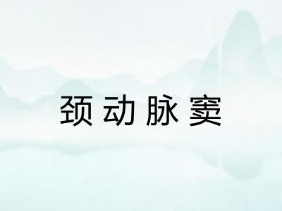 颈动脉窦 颈动脉窦