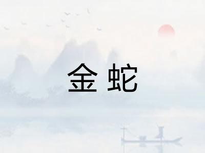 金蛇 金蛇