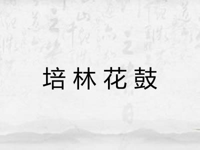 培林花鼓 培林花鼓