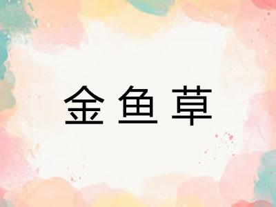 金鱼草 金鱼草