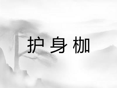 护身枷 护身枷