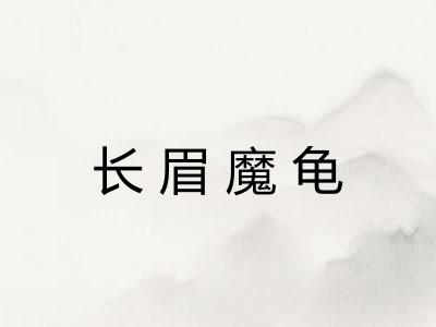 长眉魔龟 长眉魔龟