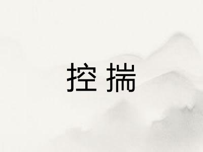 控揣 控揣