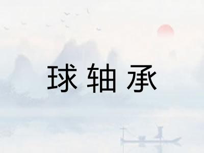球轴承 球轴承