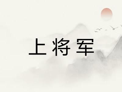 上将军