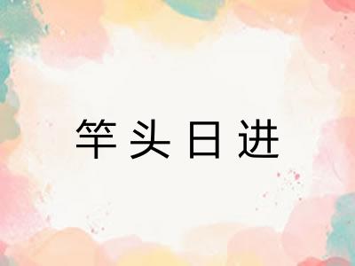 竿头日进 竿头日进