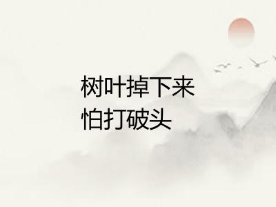 树叶掉下来怕打破头 树叶掉下来怕打破头