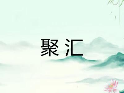 聚汇