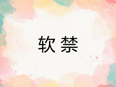 软禁 软禁