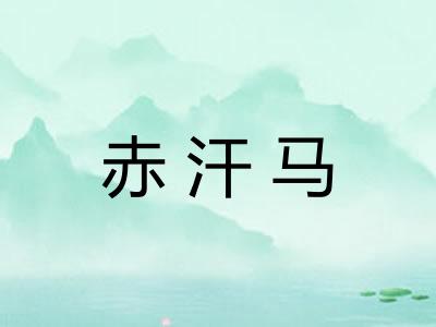 赤汗马 赤汗马